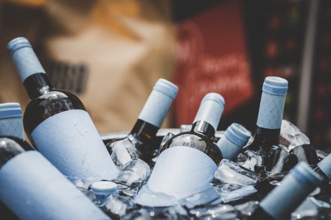 Red wine bottles chilling with ice
