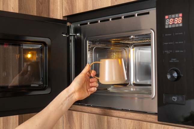 Person making tea in a microwave