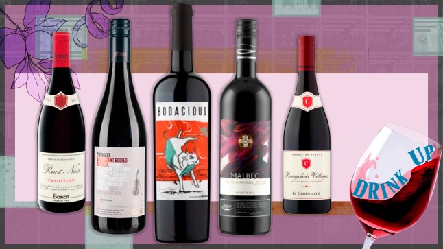 Bottles of Red Wine on a purple background with the Drink Up logo