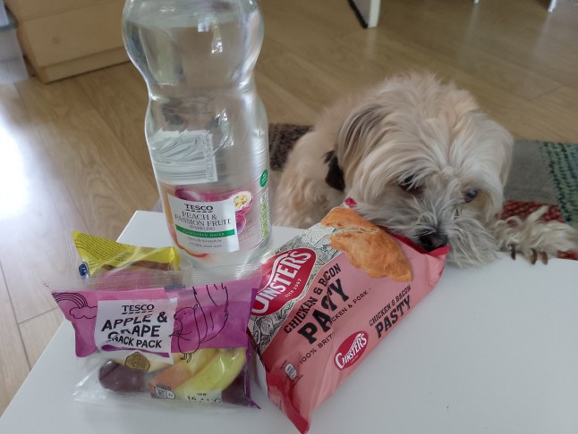 Dog with meal deal